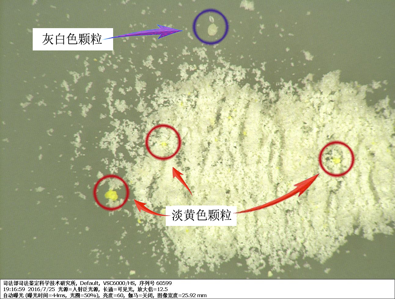 附件1 送檢奶粉的光學顯微鏡圖